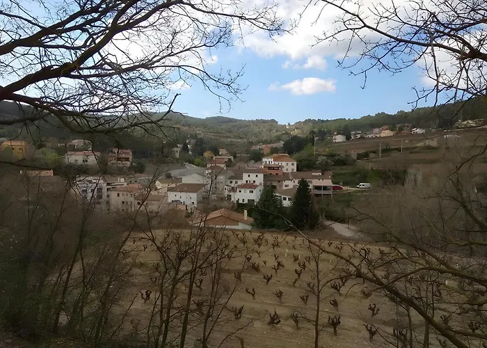 La Cova De Can Pavet